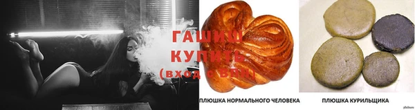 ешки Бронницы