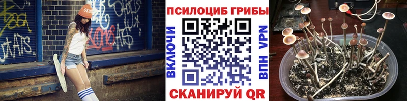 Галлюциногенные грибы Psilocybe  hydra tor  Городище 